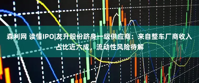 森利网 读懂IPO|友升股份跻身一级供应商：来自整车厂商收入占比近六成，流动性风险待解