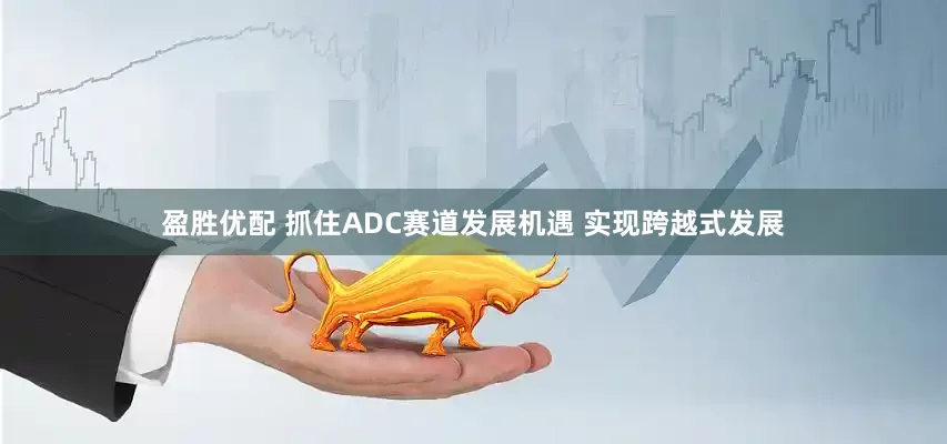 盈胜优配 抓住ADC赛道发展机遇 实现跨越式发展