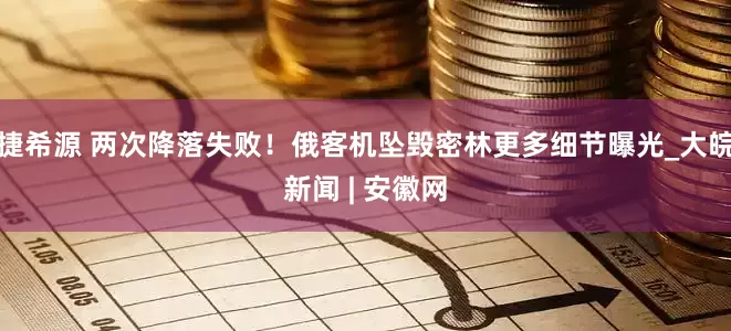 捷希源 两次降落失败！俄客机坠毁密林更多细节曝光_大皖新闻 | 安徽网