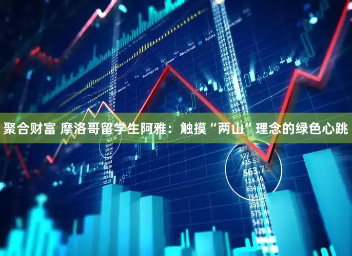 聚合财富 摩洛哥留学生阿雅：触摸“两山”理念的绿色心跳