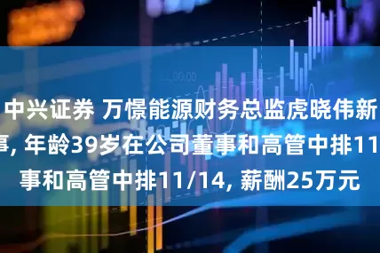 中兴证券 万憬能源财务总监虎晓伟新任非独立董事, 年龄39岁在公司董事和高管中排11/14, 薪酬25万元