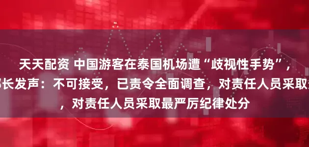 天天配资 中国游客在泰国机场遭“歧视性手势”，泰国交通部副部长发声：不可接受，已责令全面调查，对责任人员采取最严厉纪律处分