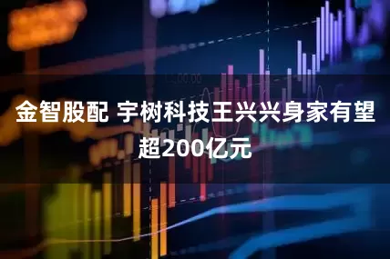金智股配 宇树科技王兴兴身家有望超200亿元